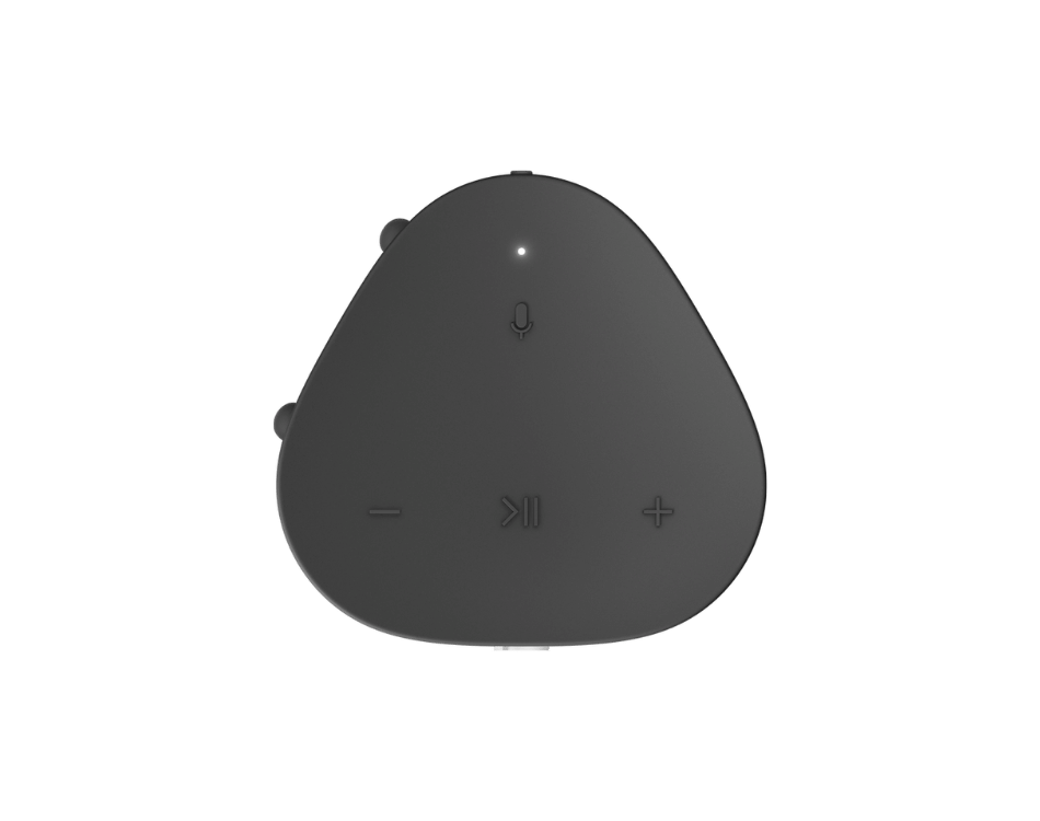 SONOS ROAM